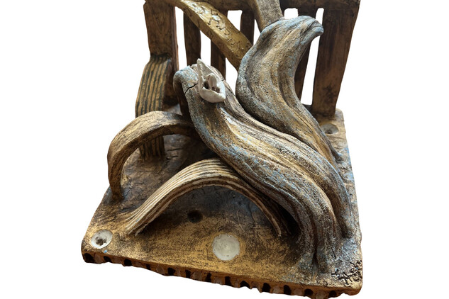 Štěpánka H. |15 let